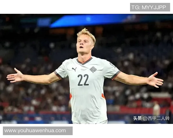 波兰国旗下的足球明星们如何在绿茵场上书写传奇故事