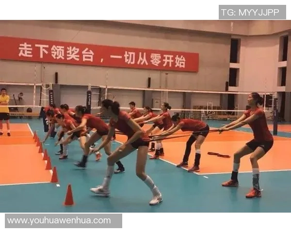 深圳排球队逆袭之旅揭秘：从低谷到巅峰的奋斗与荣耀